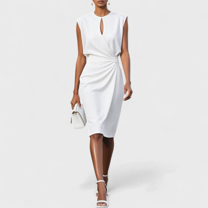 Elegant and Classy Dress – Zalumo